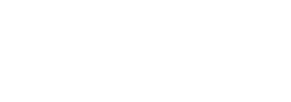 logo.white
